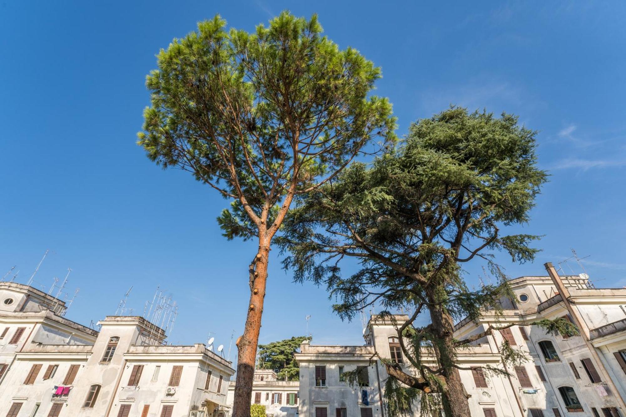 Fisher'S Apartment In Testaccio Rome Exterior photo